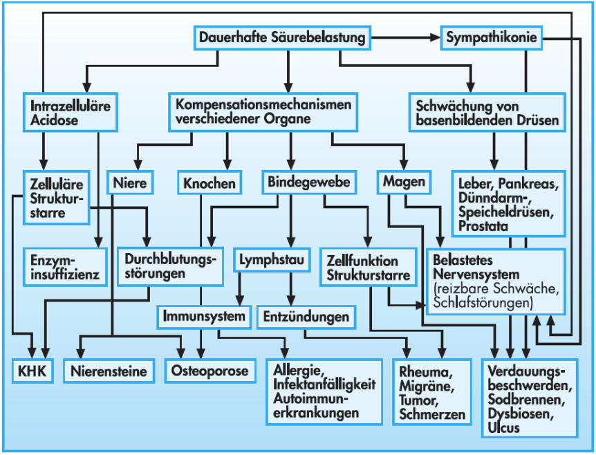 Ursachen Für übersäuerung Des Körpers elysionwasser.ch